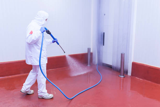 Best Concrete Sealing  in Kailua, HI